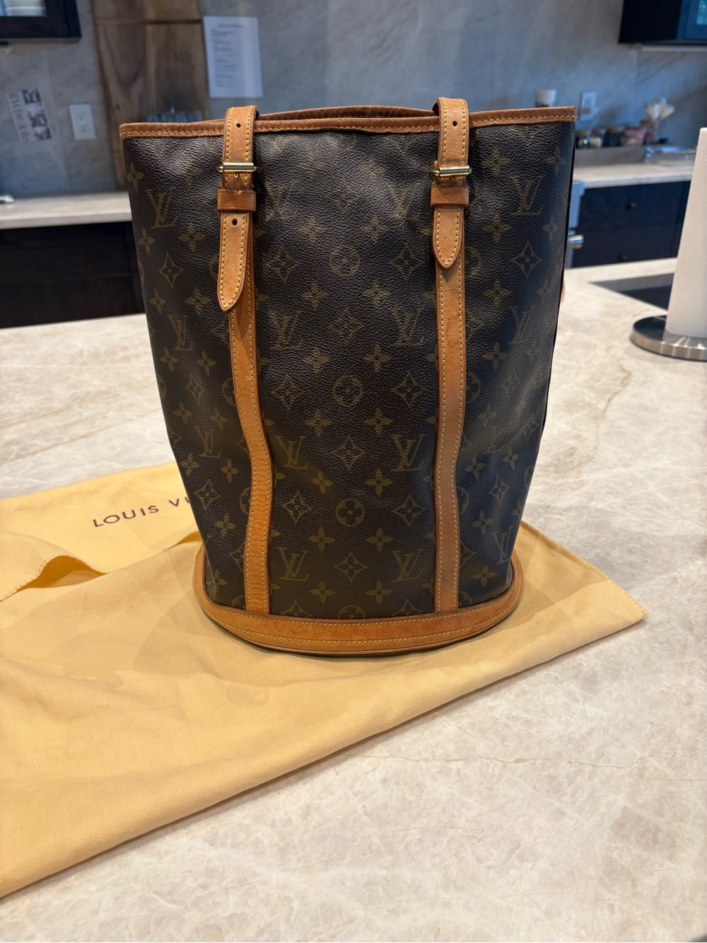 Louis Vuitton Monogram Canvas Bucket Tote with Tan Leather Trim